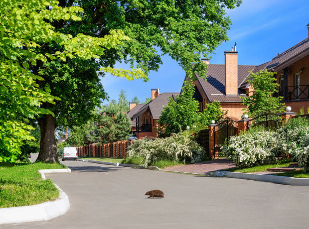 КМ Парк Хаус