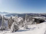 Волосянка
