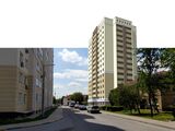 Новоселки (Фастовский)