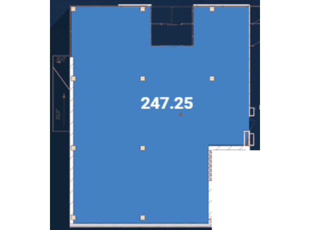 Бізнес-центр Avila: планування приміщення 247.25 м²