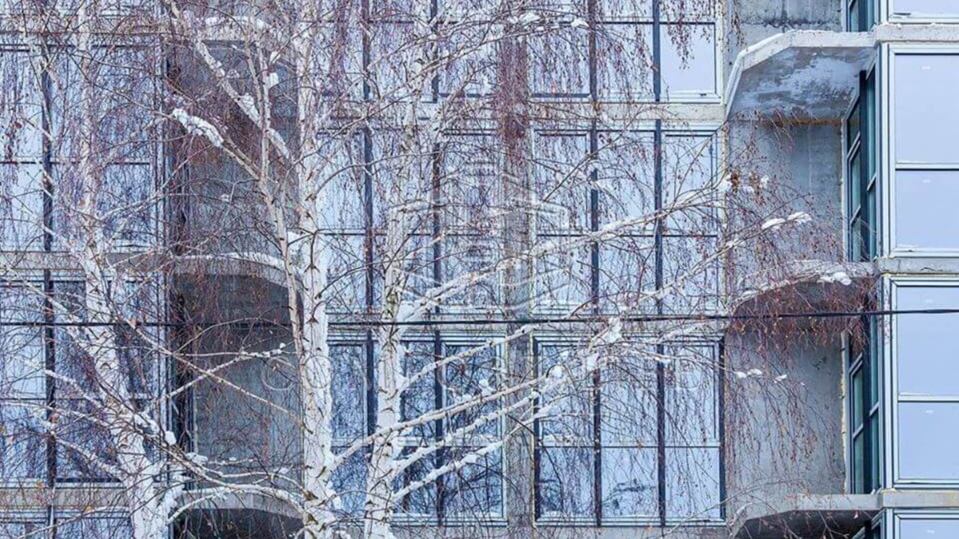 Станом на лютий 2020 року ЖК Лісова казка-2 хід будівництва фото 154719