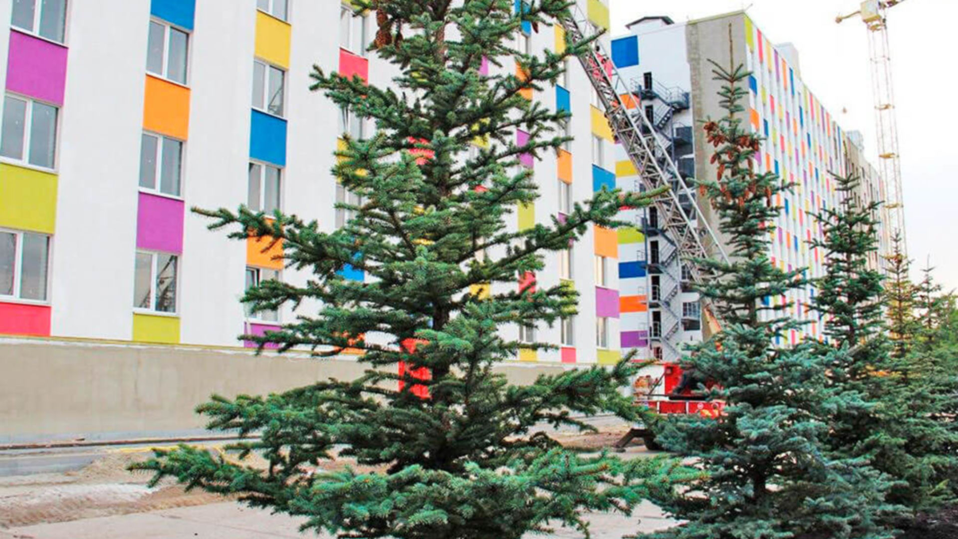 ЖК Воробьевы горы на полях ход строительства фото 197534