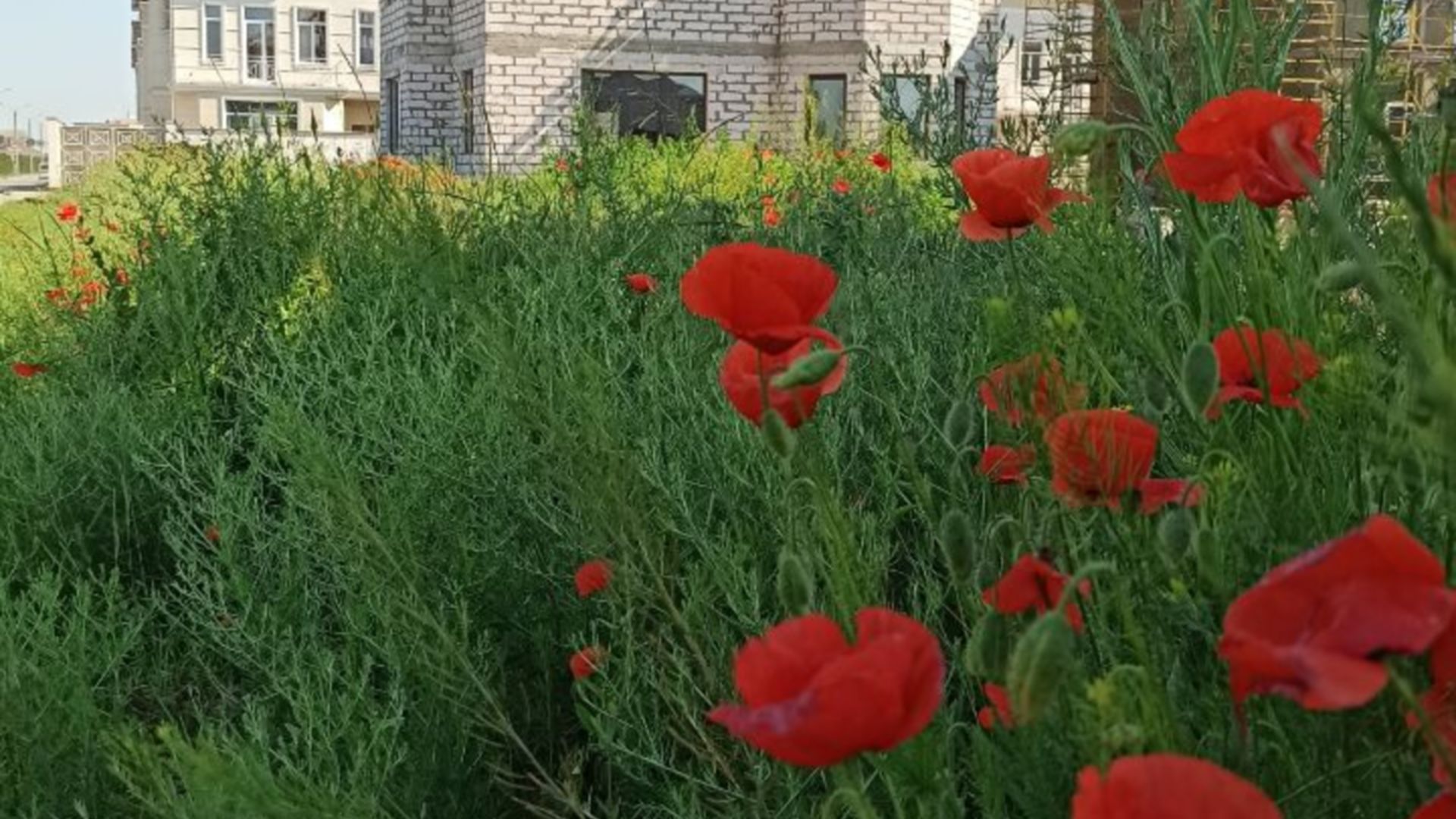 Состоянием на июнь 2021 года ЖМ Дайберг ход строительства фото 279383