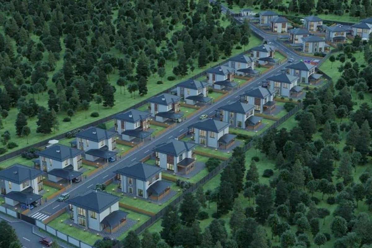 КГ Novyi Svit
