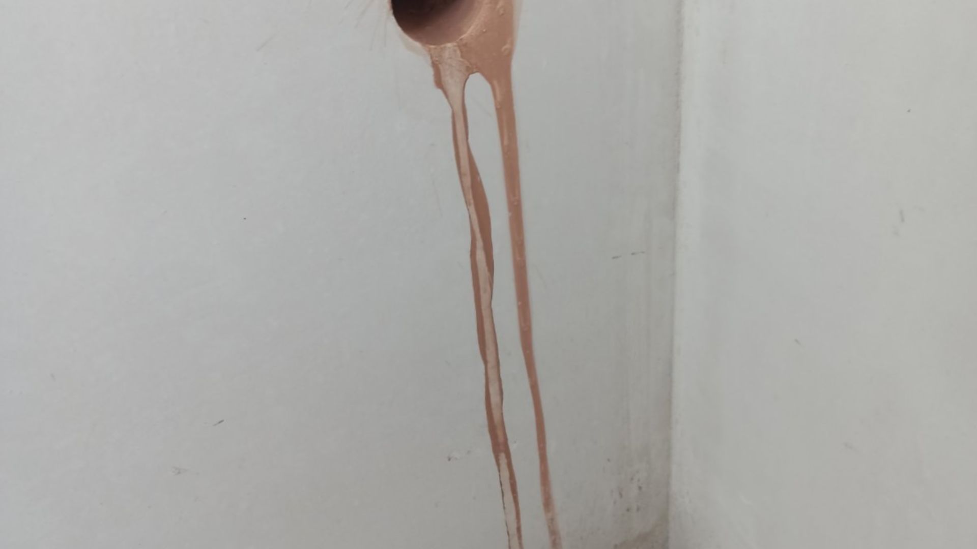 ЖК Ранкове Family ход строительства фото 365954