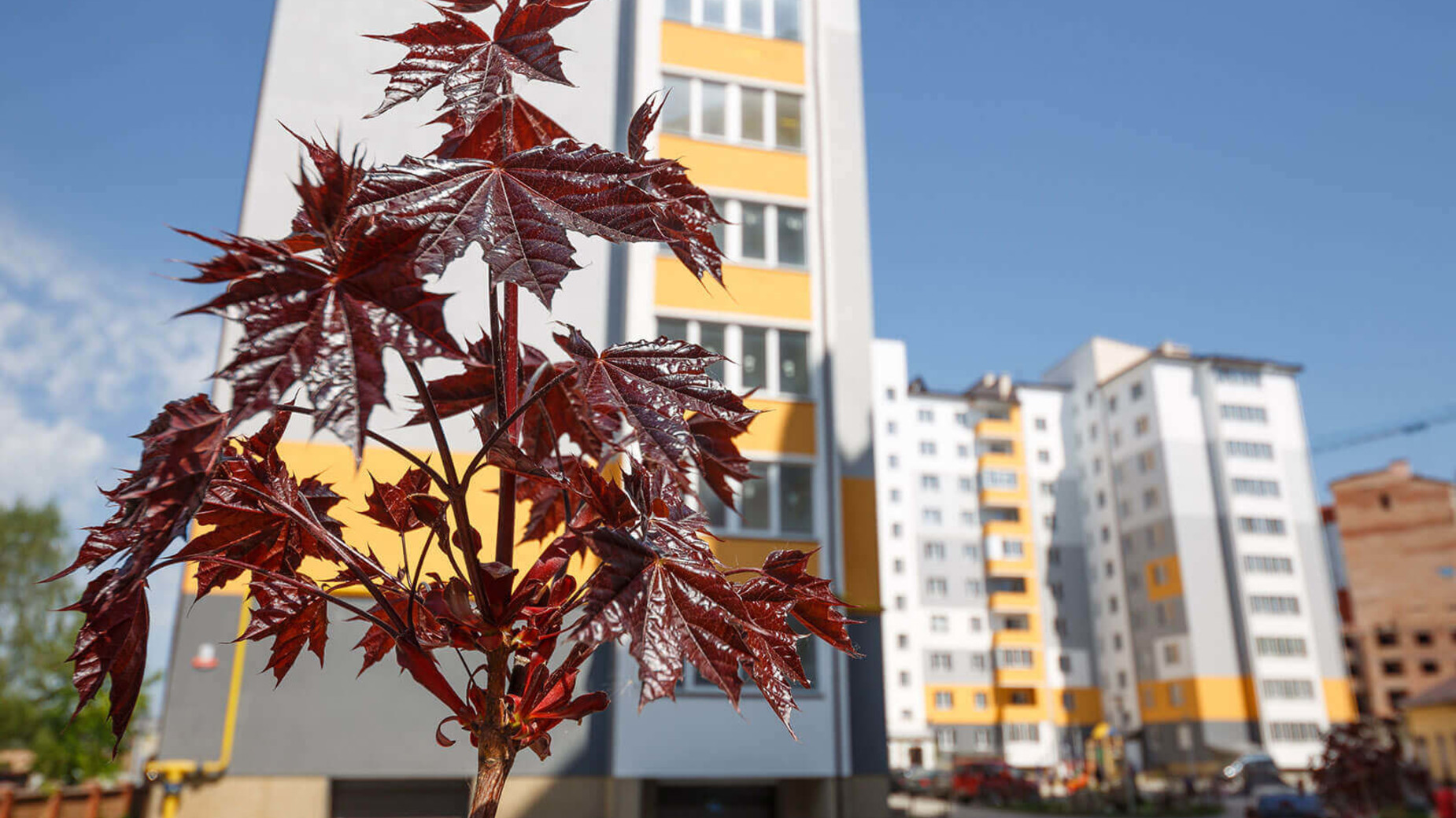 ЖК вул. Урожайна, 5  фото 383618