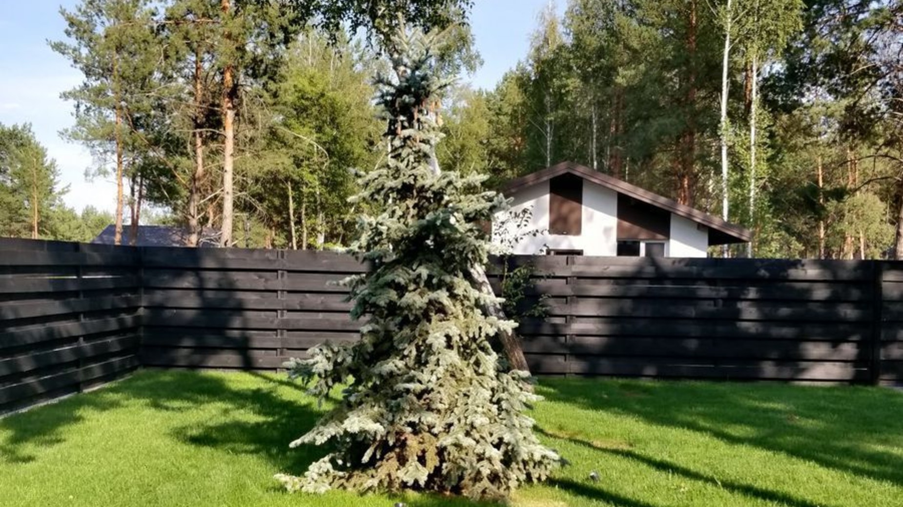 КМ Ялинкове фото 428777