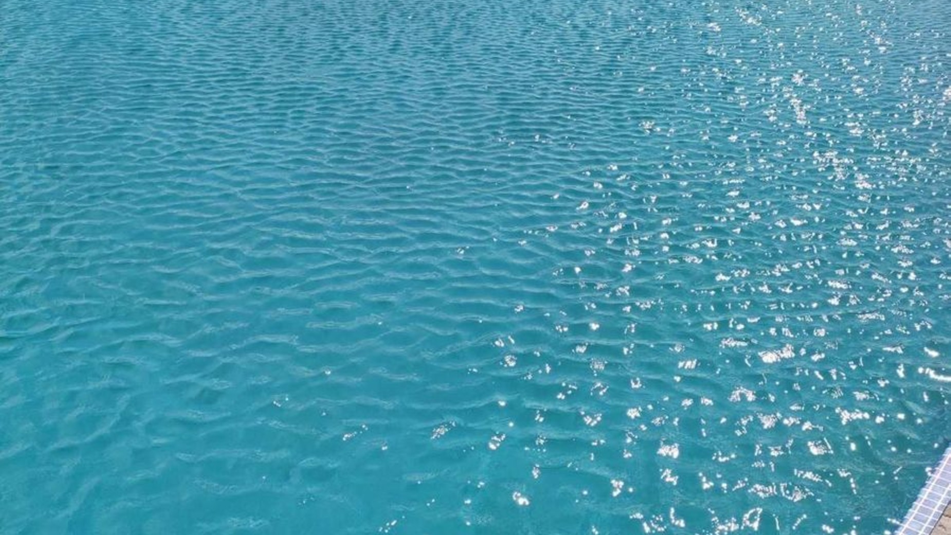 КГ Лелека фото 429293