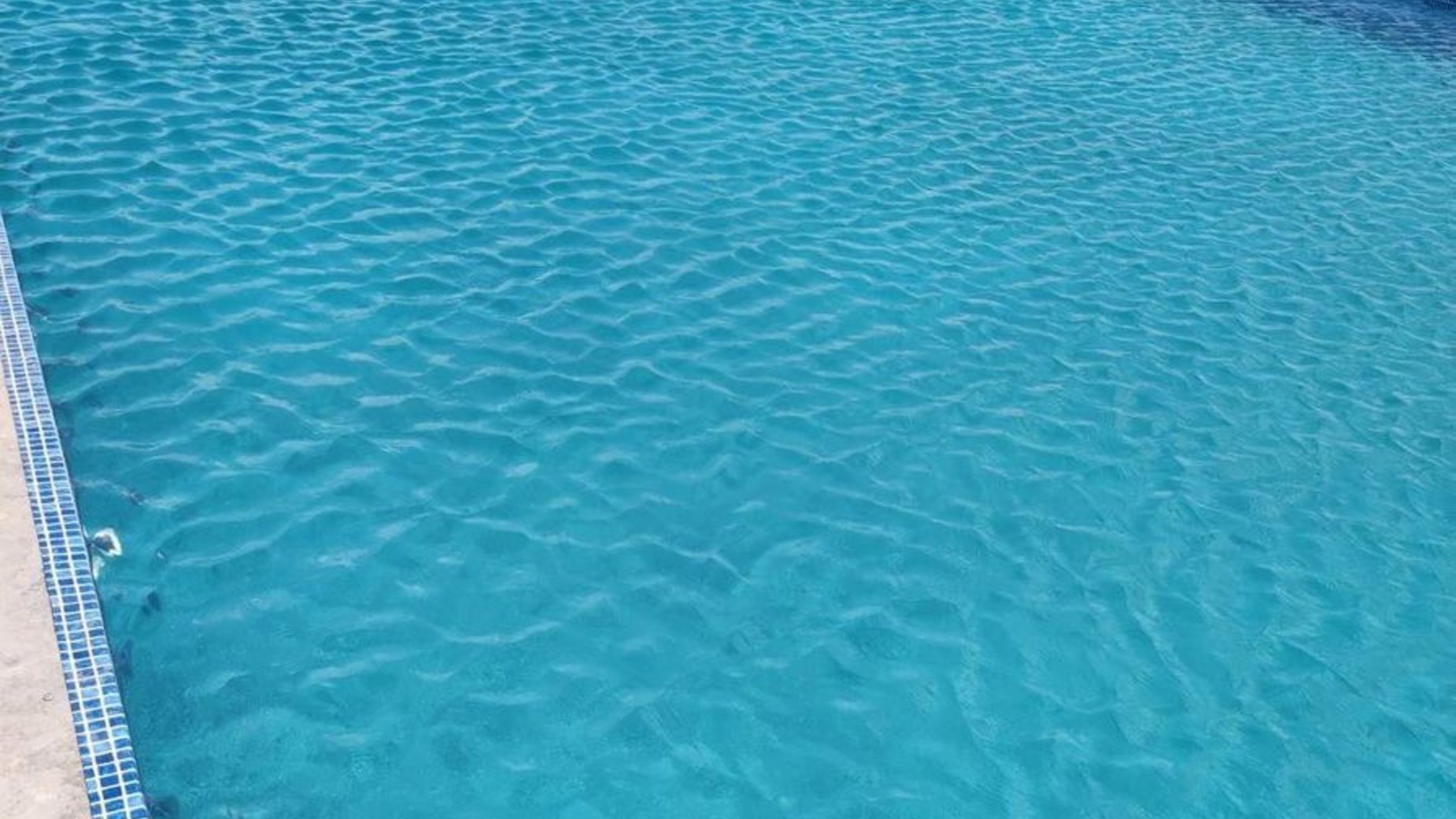 КГ Лелека фото 429294