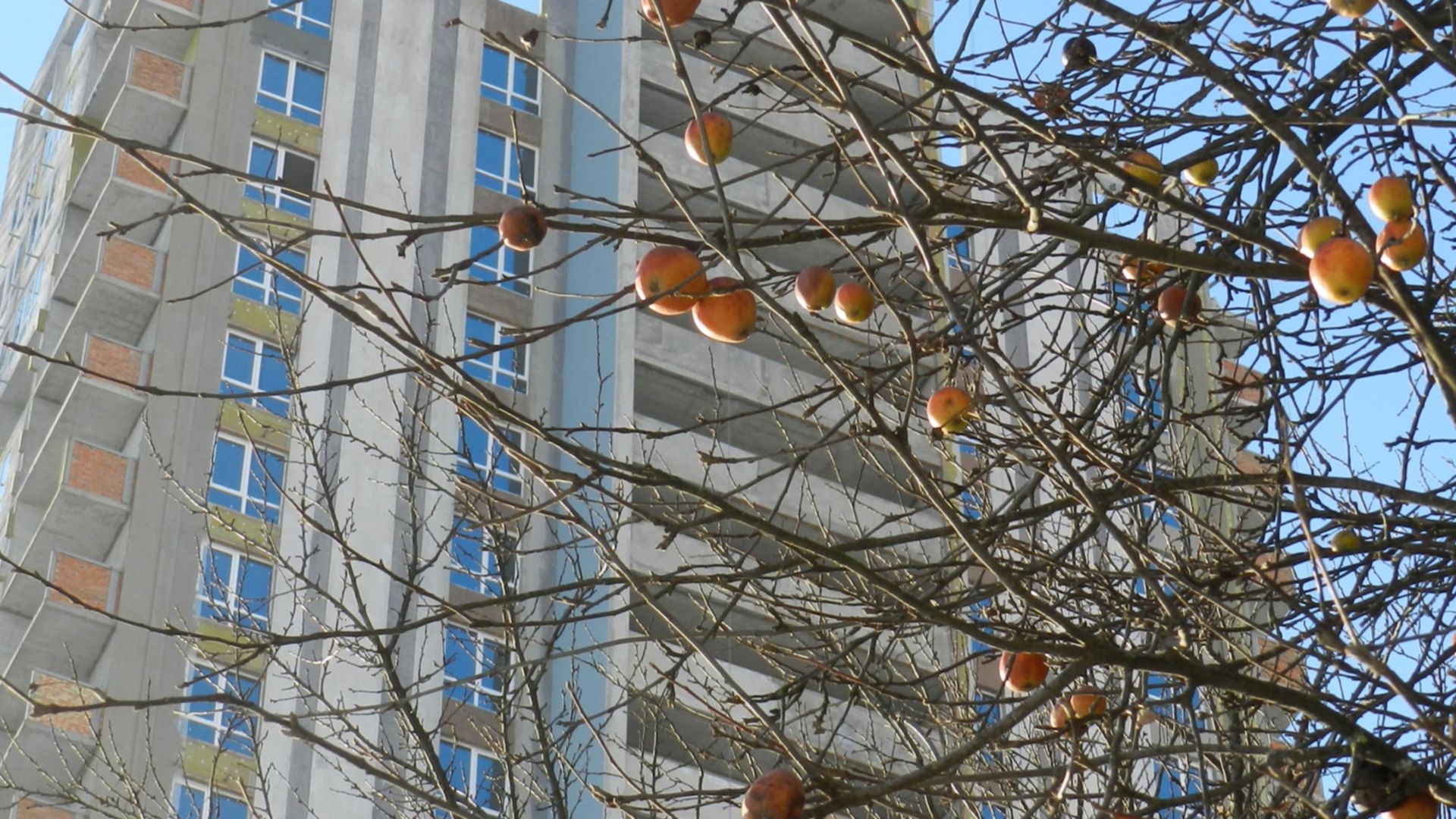 Состоянием на декабрь 2022 года ЖК Авеню 42 ход строительства фото 526869