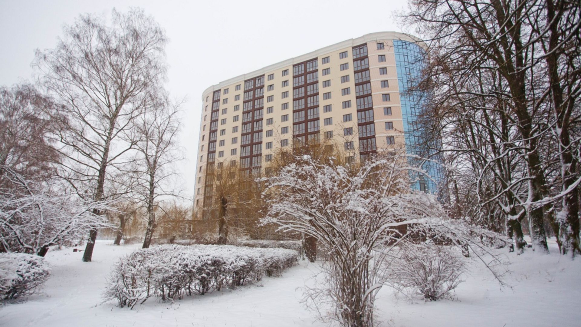 ЖК Paradise ход строительства фото 56289