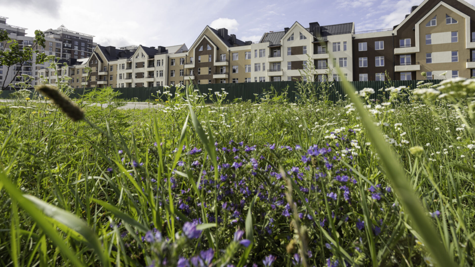 Станом на серпень 2023 року ЖК Лавандовий хід будівництва фото 593600