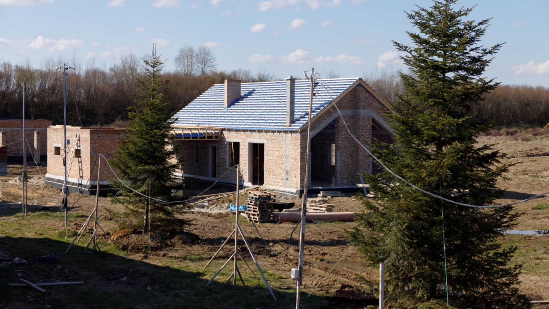 КГ Ozon village ход строительства фото 678045