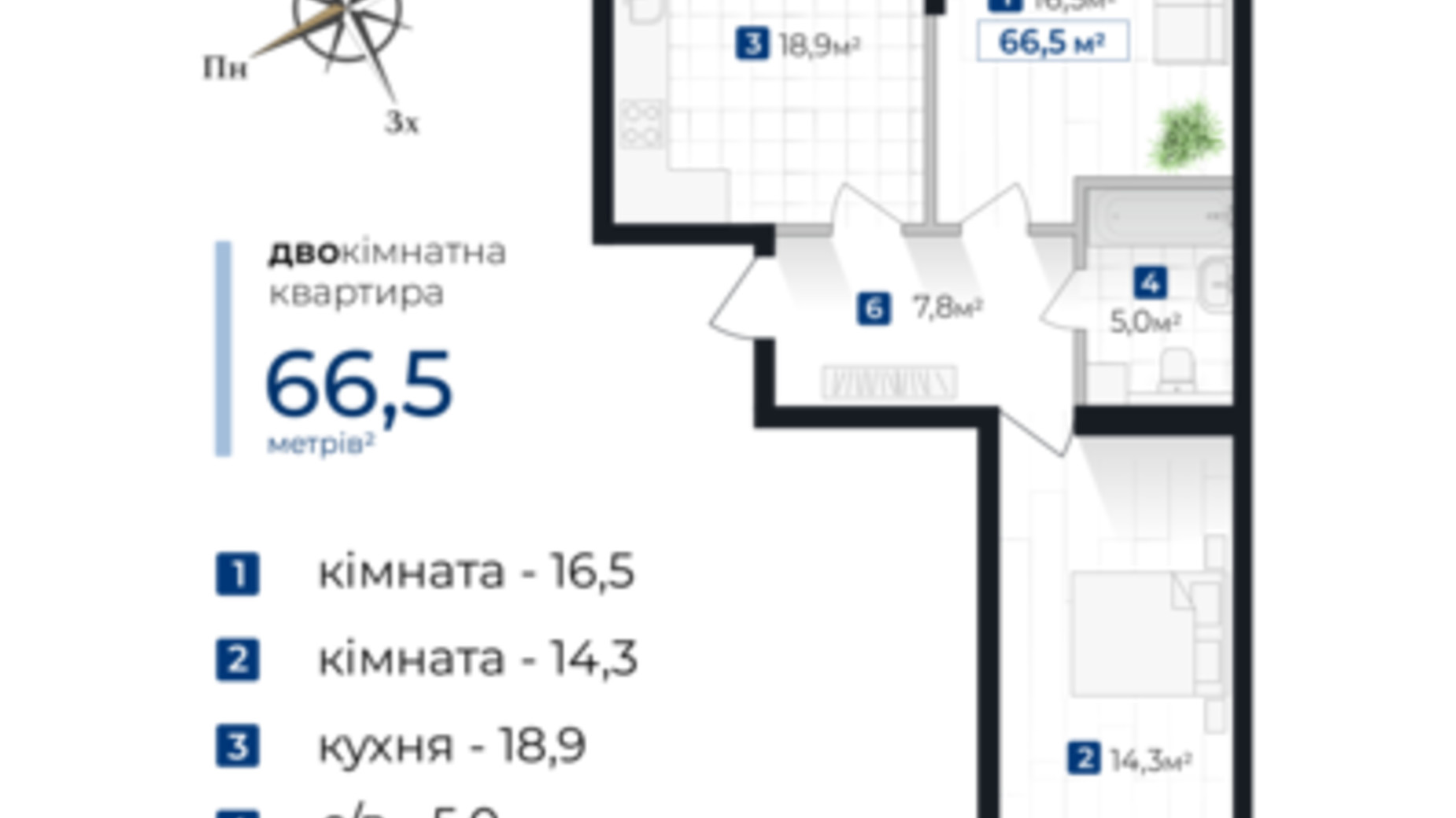 Планування 2-кімнатної квартири в ЖК Senat 66.5 м², фото 706012