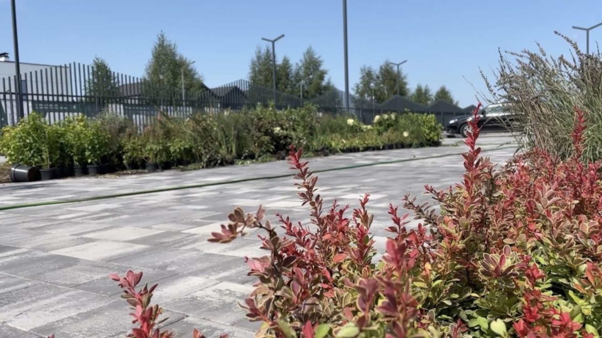 Состоянием на август 2024 года ЖК Park Residence ход строительства фото 745764