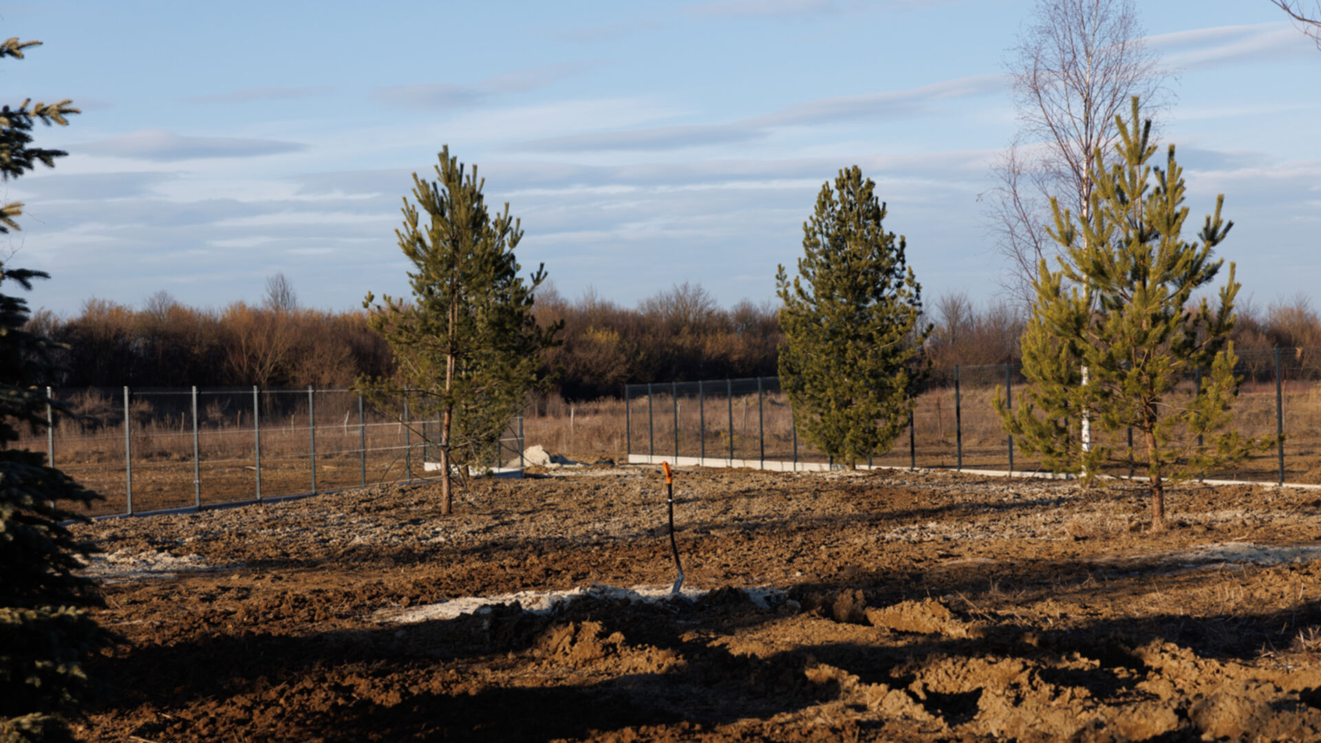 КГ Ozon village ход строительства фото 813995