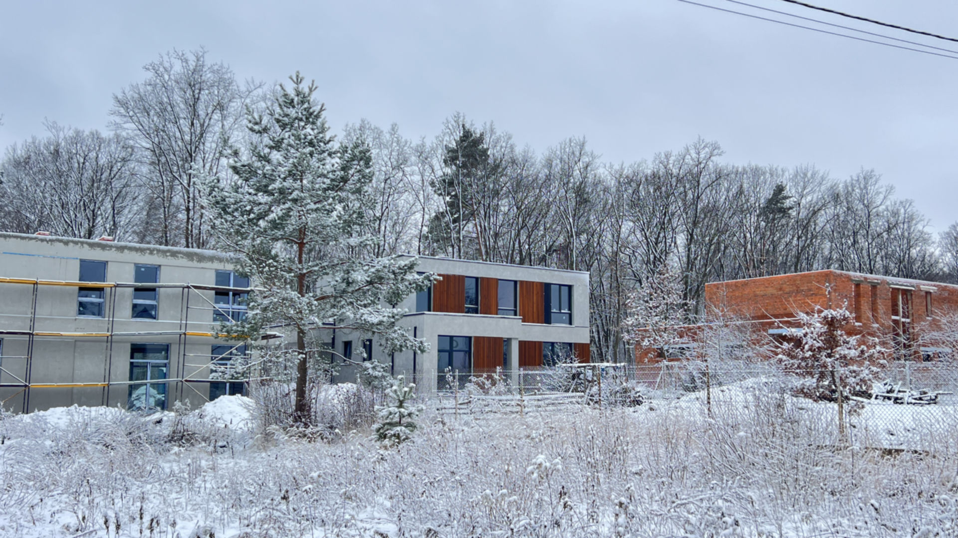 КГ ForRest Residences Zubra ход строительства фото 816165