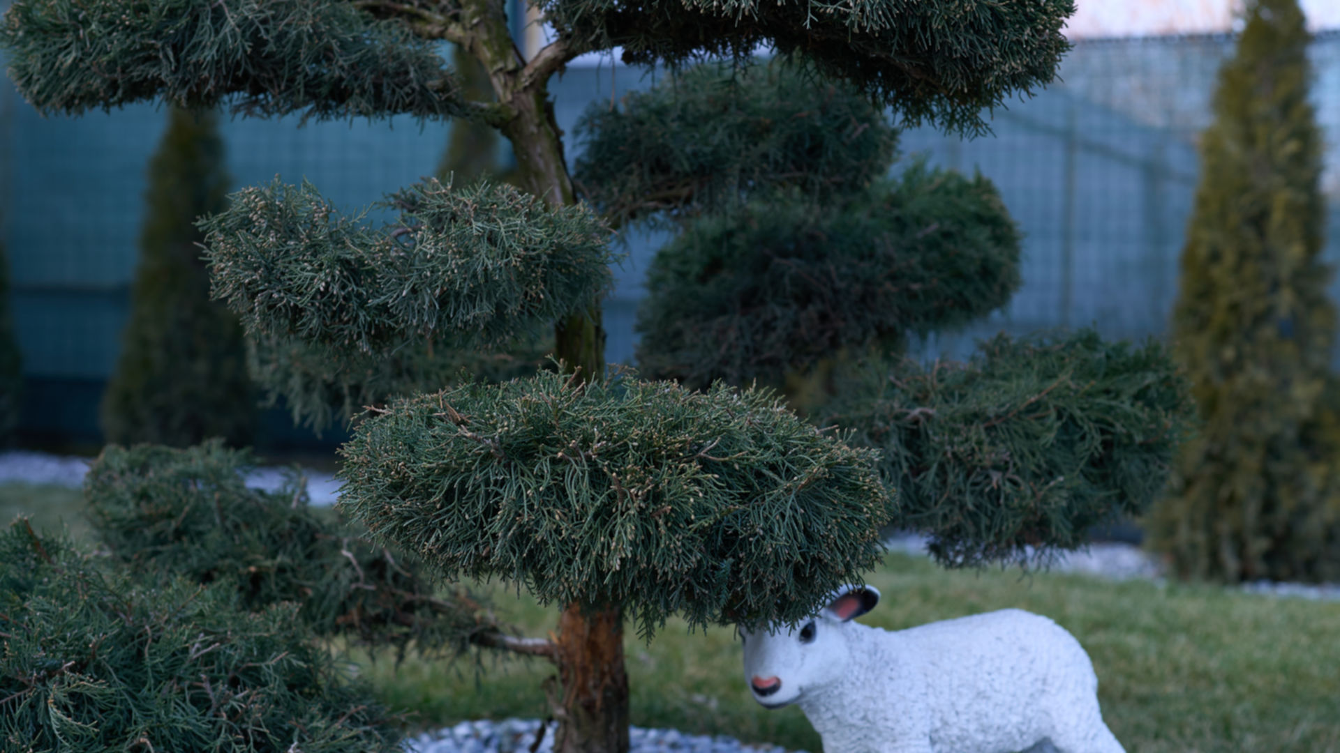 КГ Озерный ход строительства фото 826145