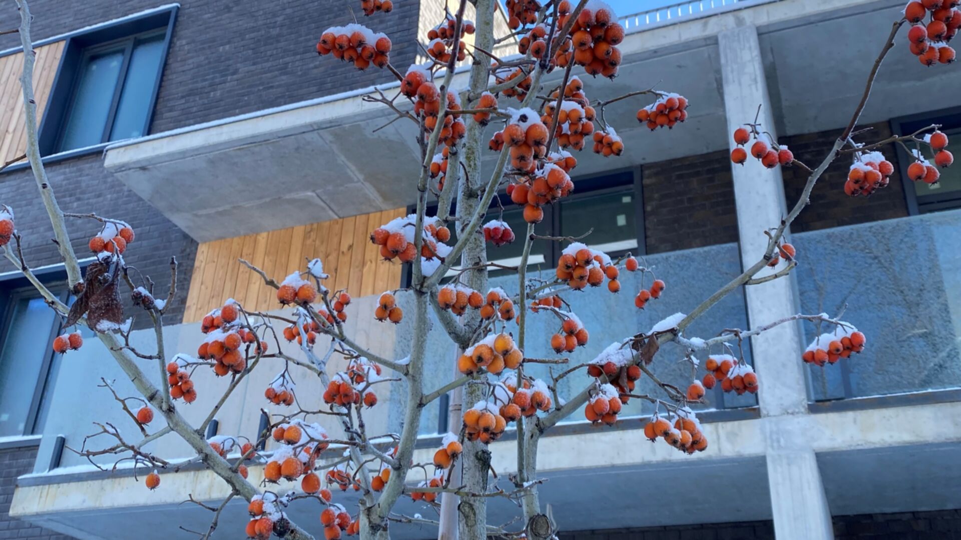 Таунхаус Forest hill хід будівництва фото 826337