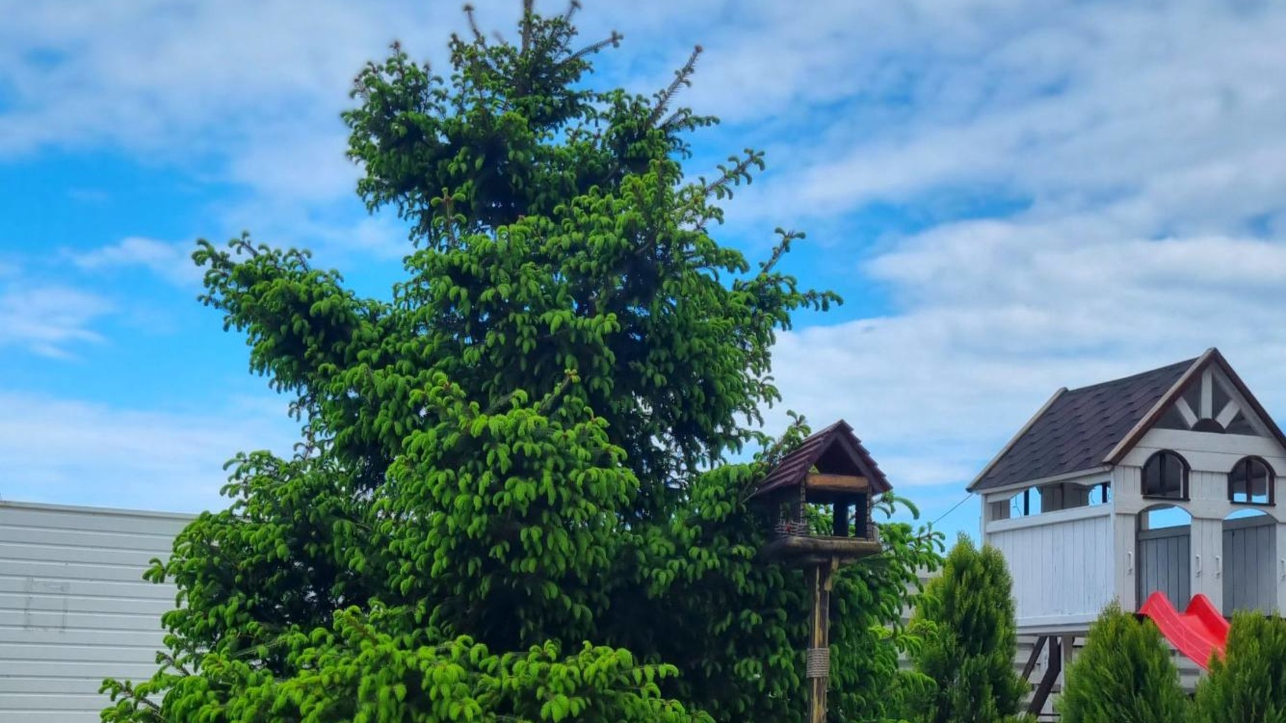 КД Малый Марсель-2  фото 837844