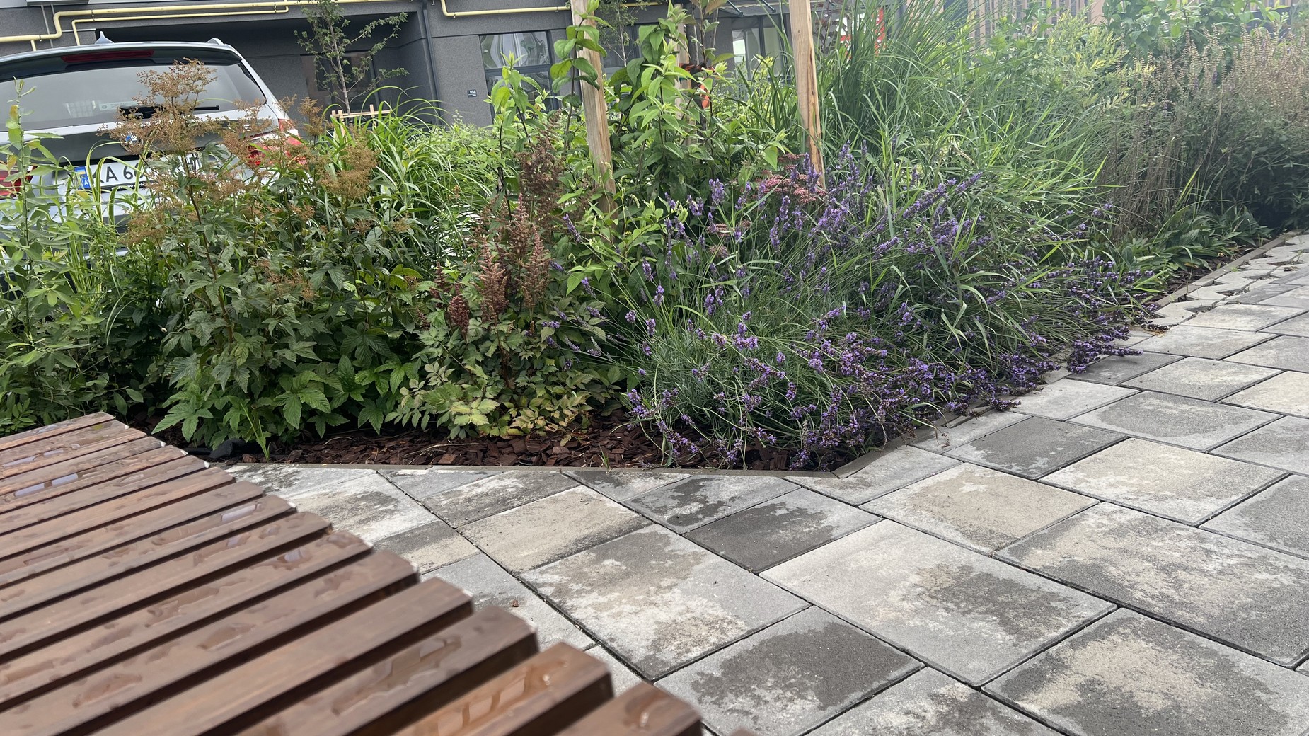 ЖК Park Residence  фото 892401