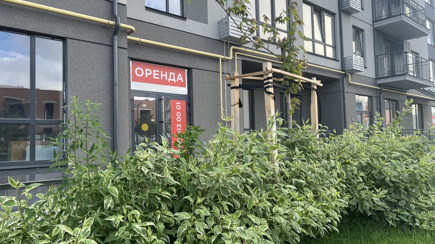 ЖК Park Residence  фото 892402