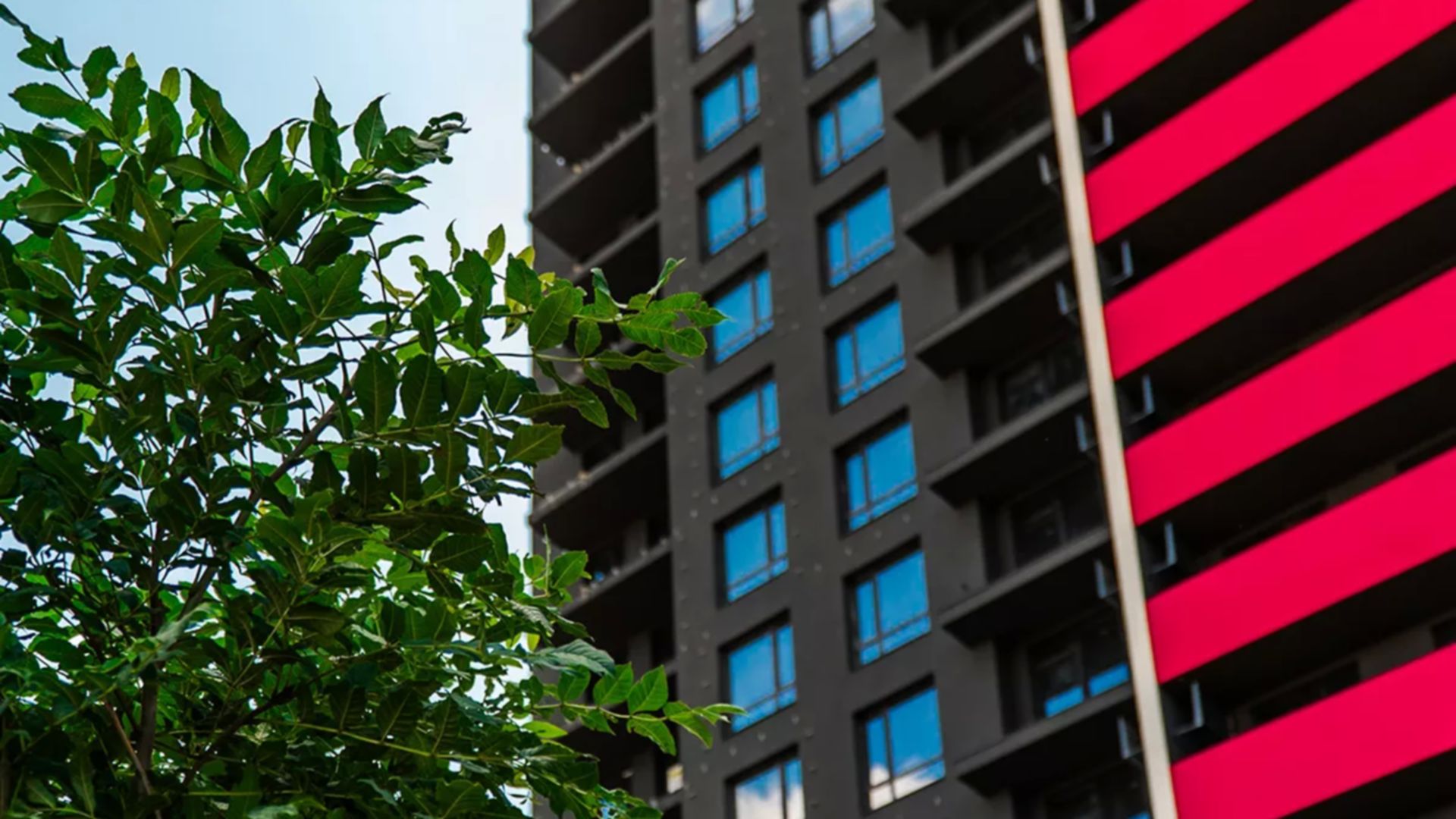 Станом на липень 2025 року ЖК SKYGARDEN хід будівництва фото 893800