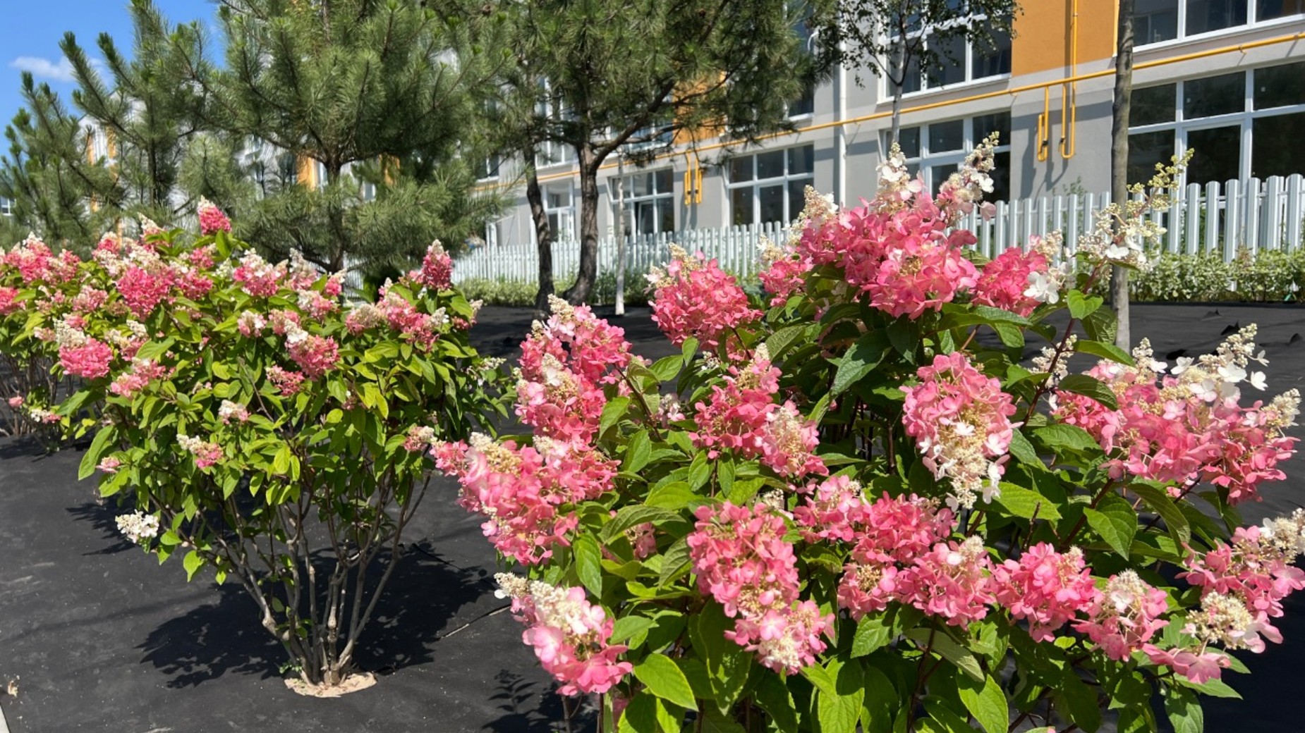 ЖК Sanville Park фото 900430