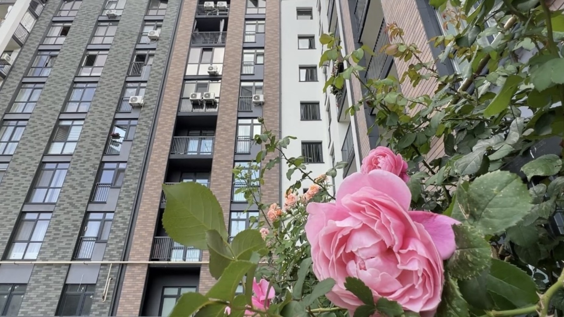 ЖК Scandia фото 900453