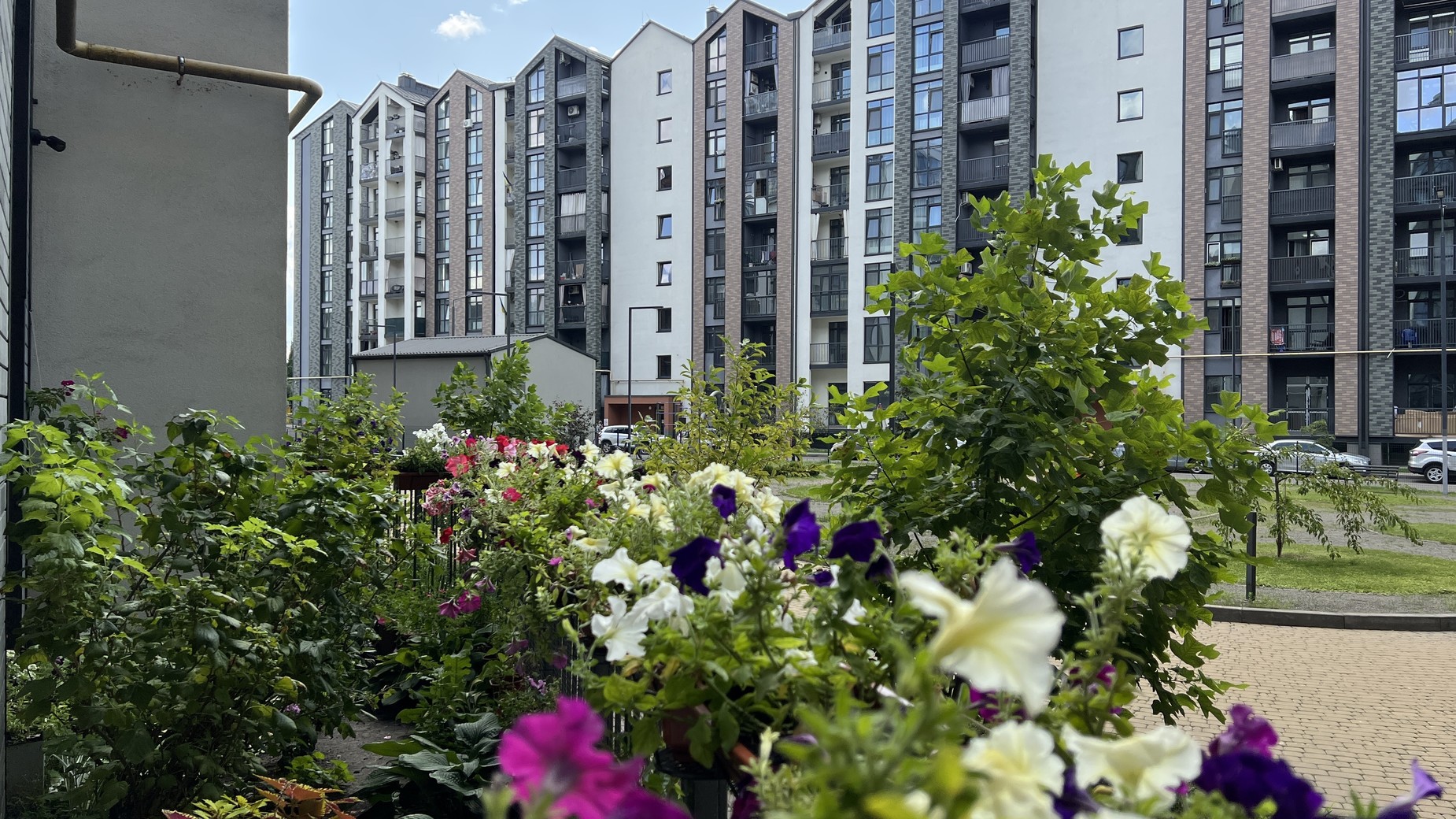 ЖК Scandia фото 900462