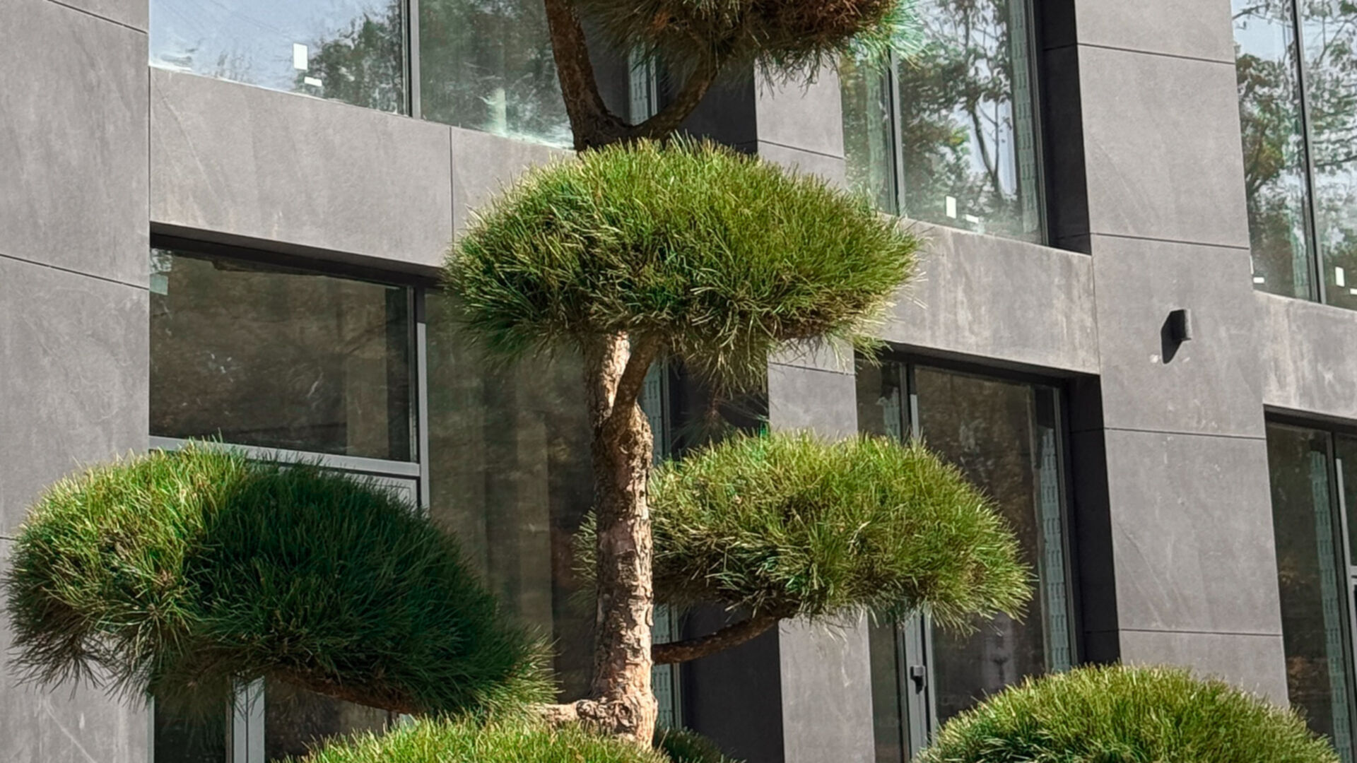 ЖК Infinity Park хід будівництва фото 912534