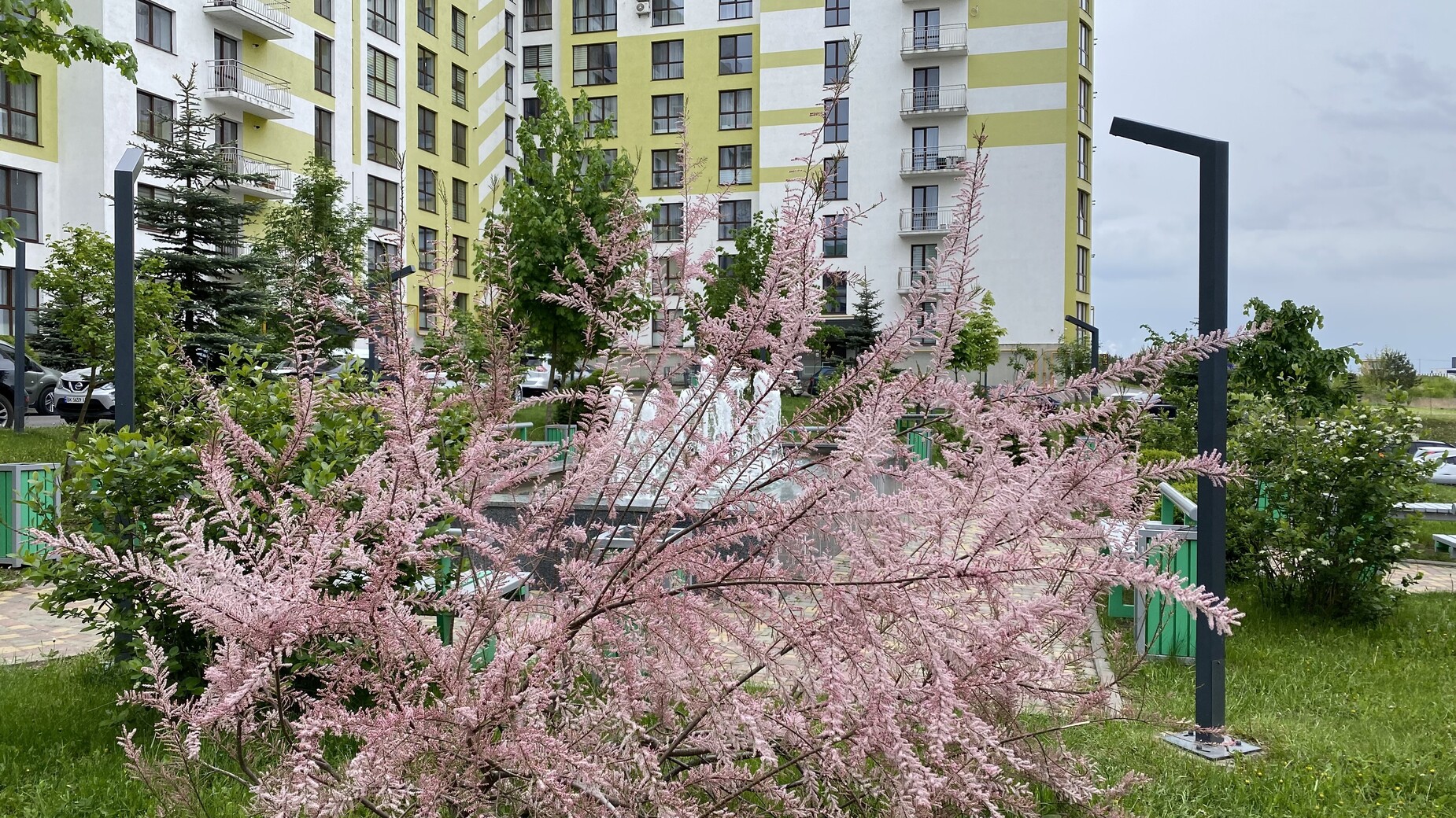 ЖК На Щасливому фото 918137