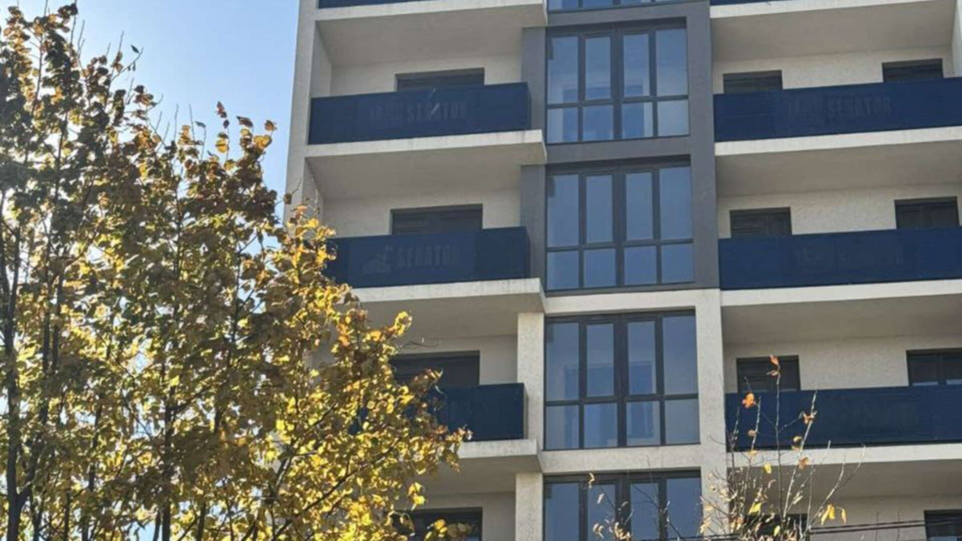 ЖК Senator ход строительства фото 930333