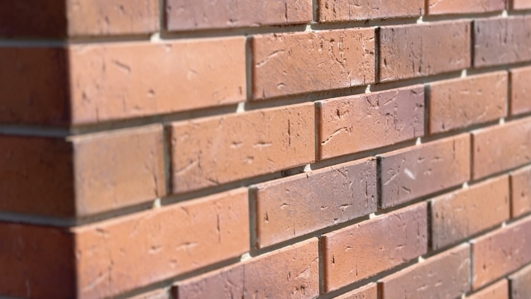 ЖК Стандарт фото 935044