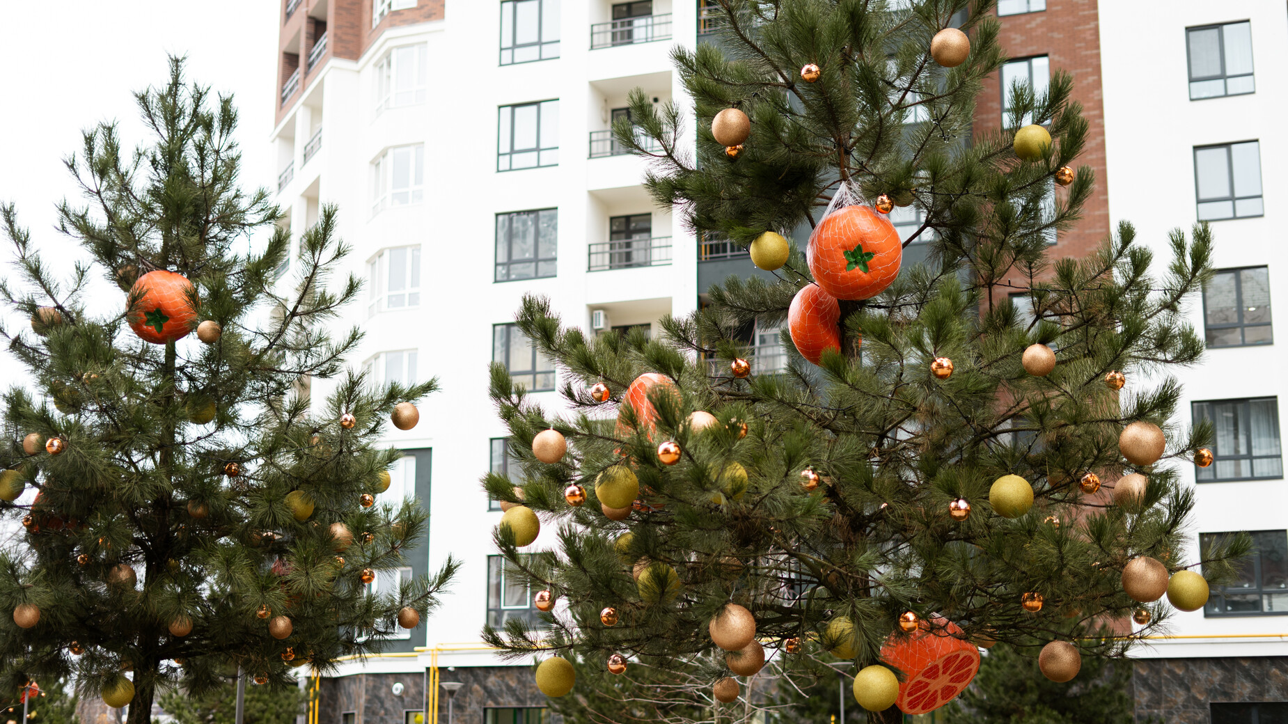 ЖК Синергія Сіті  фото 955829