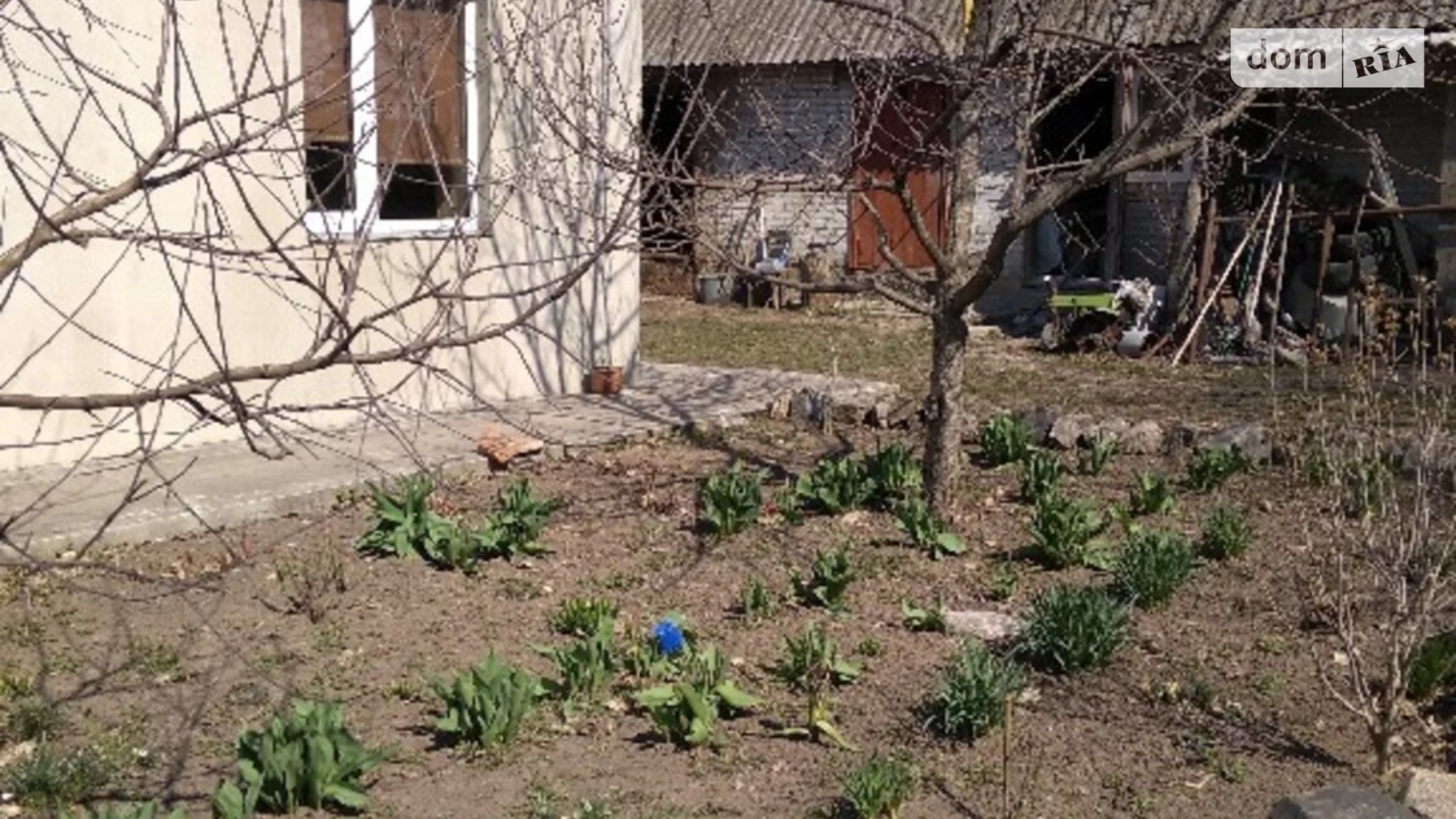 Продается одноэтажный дом 120 кв. м с участком, цена: 30000 $ - фото 4