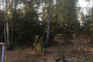 Продається земельна ділянка 15 соток у Житомирській області