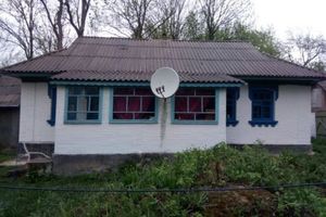 Продається одноповерховий будинок 54 кв. м з меблями