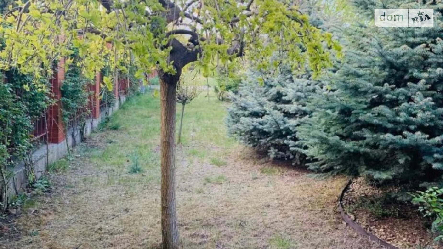 Продается дом на 2 этажа 455.5 кв. м с мансардой, цена: 650000 $ - фото 5