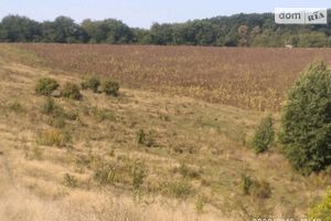 Продается земельный участок 10 соток в Винницкой области