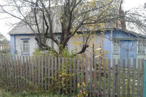 Продается одноэтажный дом 90 кв. м с террасой