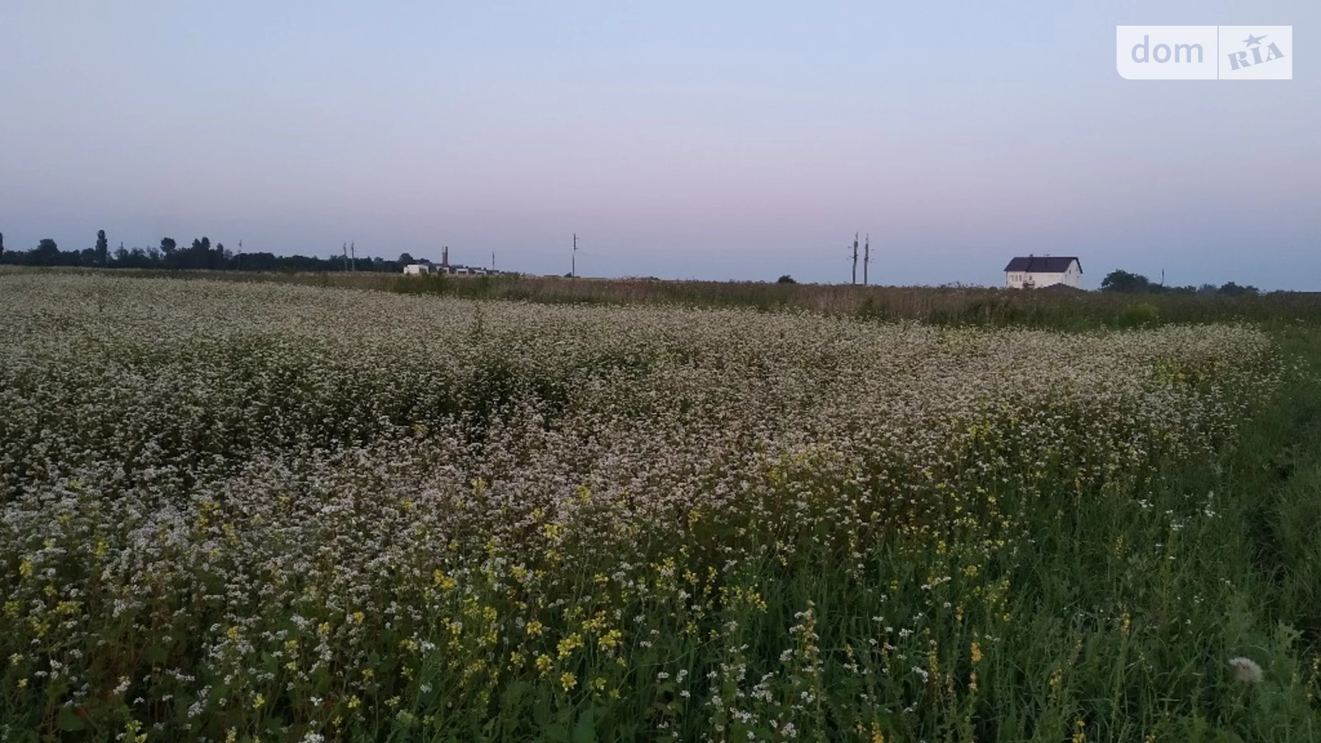 Продається земельна ділянка 16.87 соток у Тернопільській області, цена: 10000 $ - фото 5