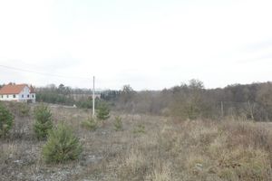 Продается земельный участок 16 соток в Тернопольской области