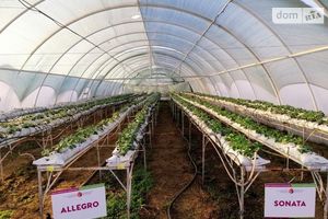 Продается готовый бизнес в сфере сельское хозяйство площадью 6000 кв. м