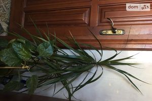 Сдается в аренду 1-комнатная квартира 36 кв. м в Луцке