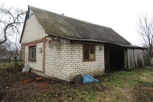 Продається одноповерховий будинок 45 кв. м з каміном