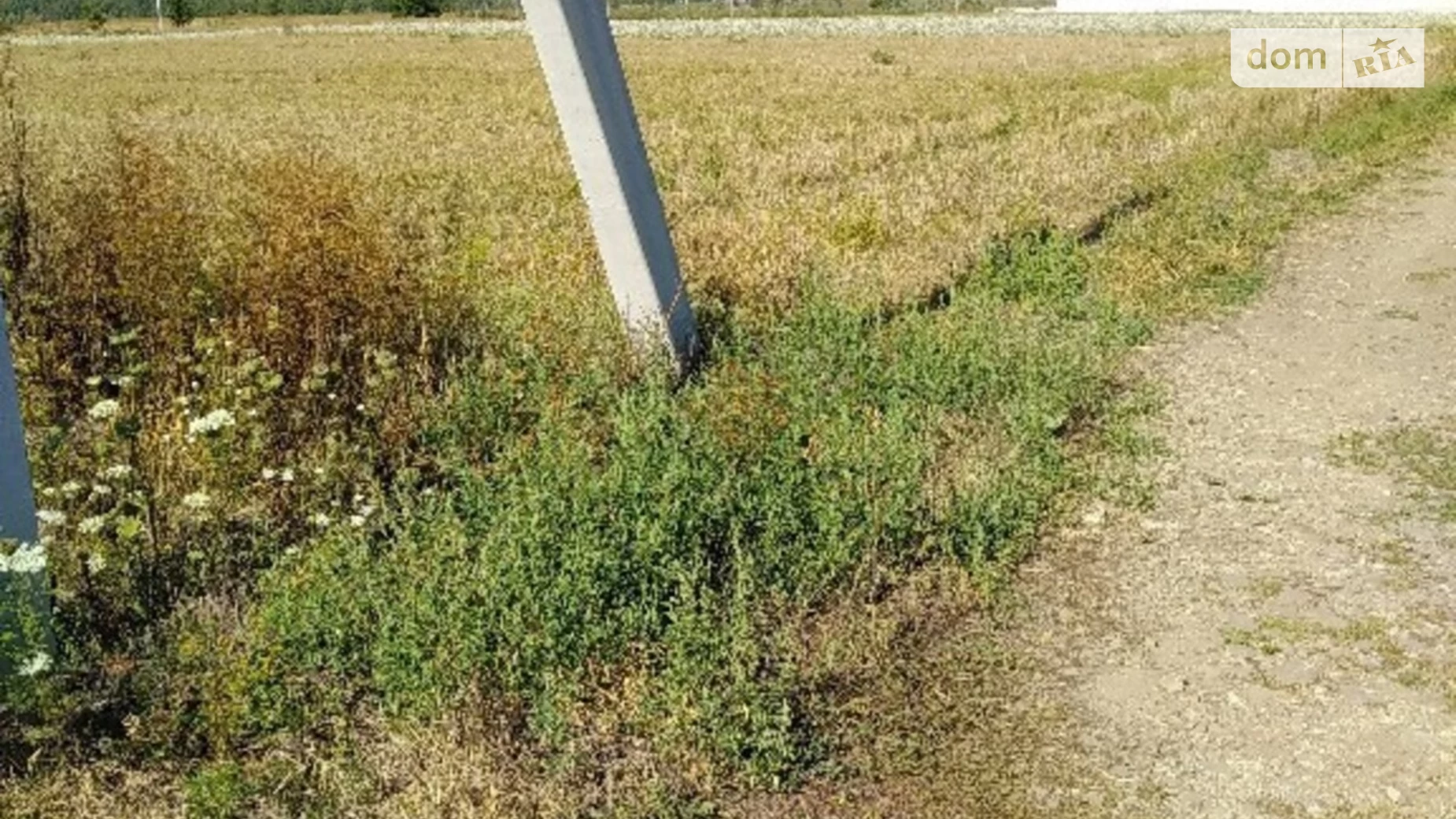 Продається земельна ділянка 25 соток у Тернопільській області, цена: 15000 $ - фото 3