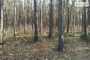 Продається земельна ділянка 20 соток у Житомирській області