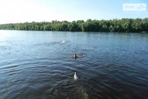 Продается база отдыха, пансионат 750 кв. м в 1-этажном здании