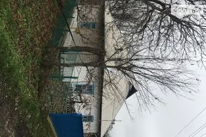 Продається одноповерховий будинок 100 кв. м з подвалом